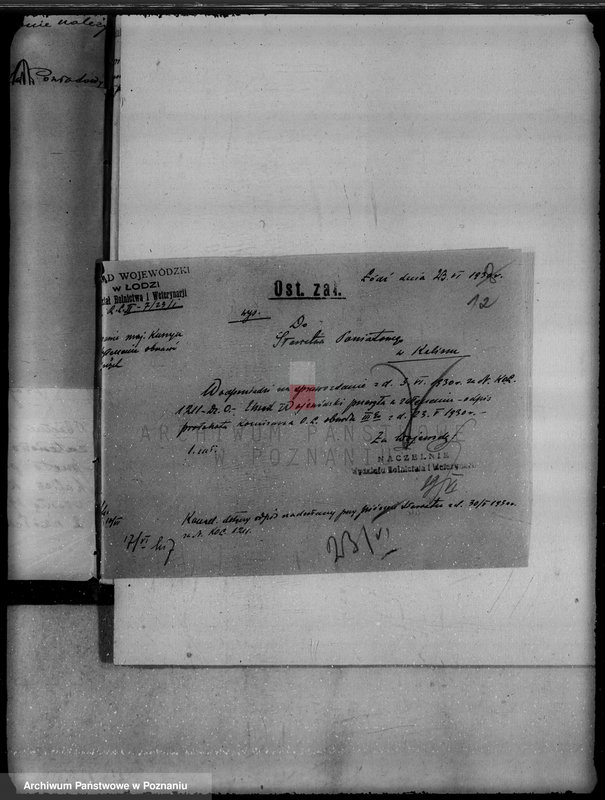 Obraz 16 z jednostki "Majątek Kuszyn powiat kaliski /sprawy leśne/"