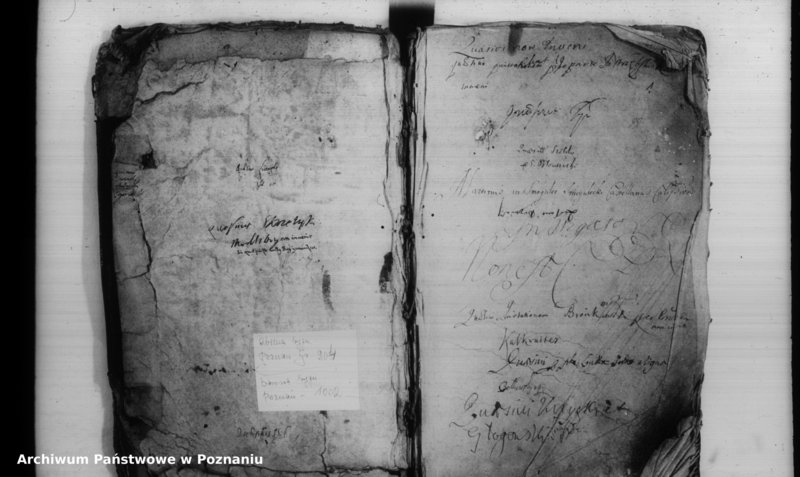 Obraz 3 z jednostki "Inscriptiones [inducta]"