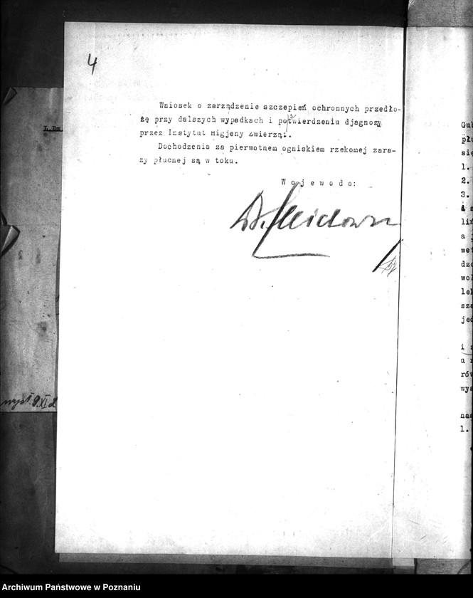 Obraz 8 z jednostki "Zaraza płucna - Międzychód"