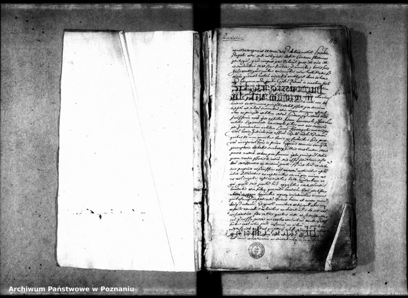 Obraz 5 z jednostki "Inscriptiones, relationes [inducta]"