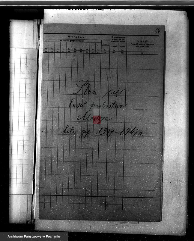 Obraz 20 z jednostki "Program urządzenia gospodarstwa leśnego lasu probostwa Modrzu powiat poznański"