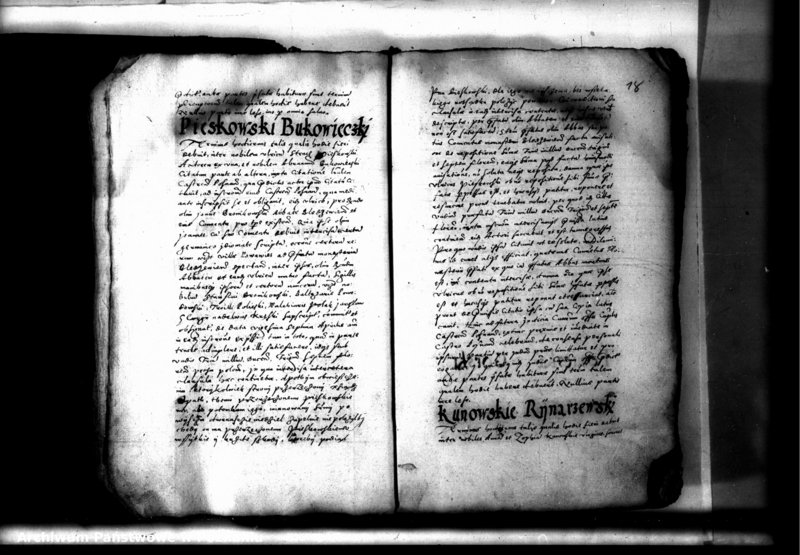 Obraz 20 z jednostki "Decreta officii [inducta]"