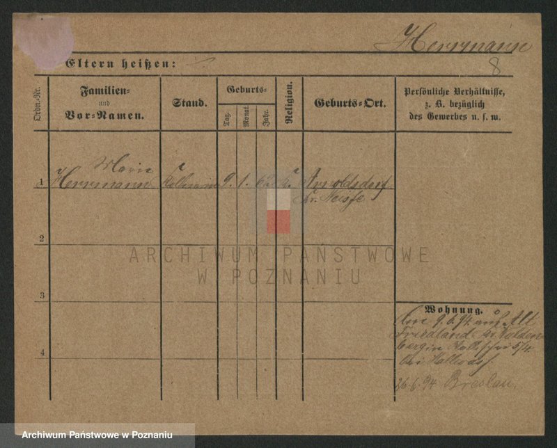 Obraz 8 z jednostki "Herman - Hermyła"