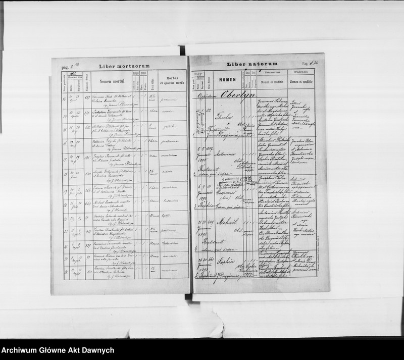 image.from.unit.number "Parafia: Obertyn. Dekanat: Horodenka. Księga metrykalna urodzeń 1881-1883, 1898, 1902, ślubów 1881-1882, 1898, 1902 i zgonów 1881-1883, 1898, 1902 dla miasta Obertyn i wsi: Czortowiec*, Harasimów*, Hawrylak, Niezwiska*, Woronów*, Bałahorówka, Hanczarów, Jakubówka."