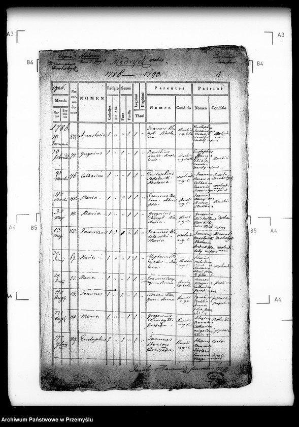 Obraz 5 z jednostki "[Kopie ksiąg metrykalnych parafii Modrycz z filią Solec (dekanat Drohobycz)]"