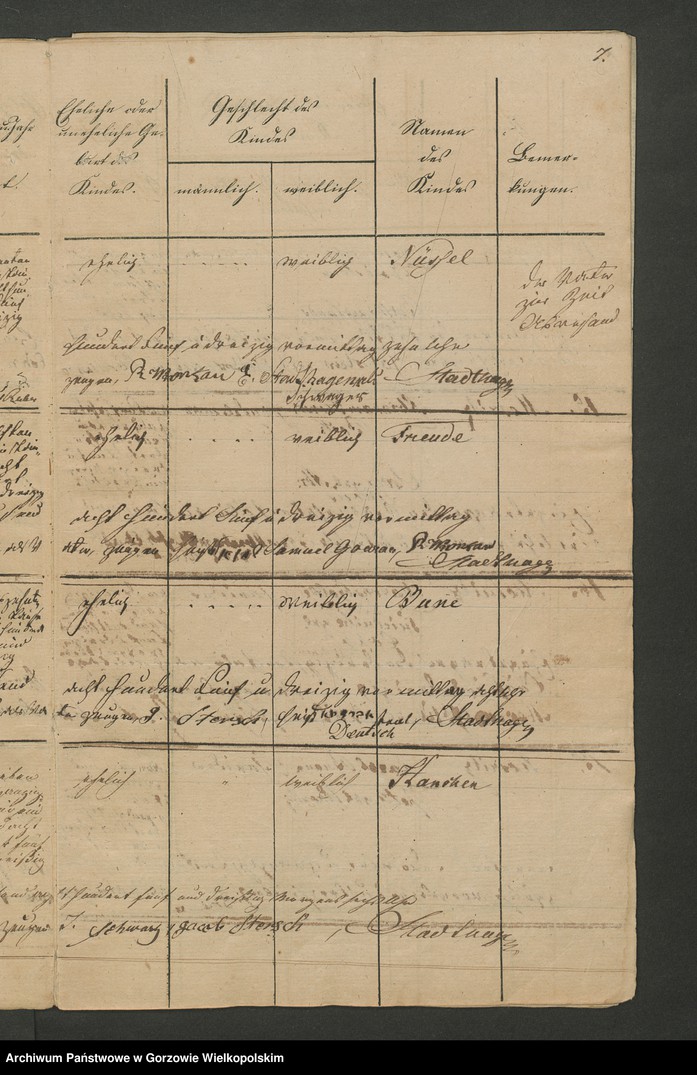 image.from.unit.number "Personenstands-Register der isräelitische Corporation zu Meseritz vom Jahre 1835"