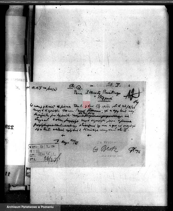 Obraz 18 z jednostki "Lasy majątku Kuźniki powiatu kępińskiego"