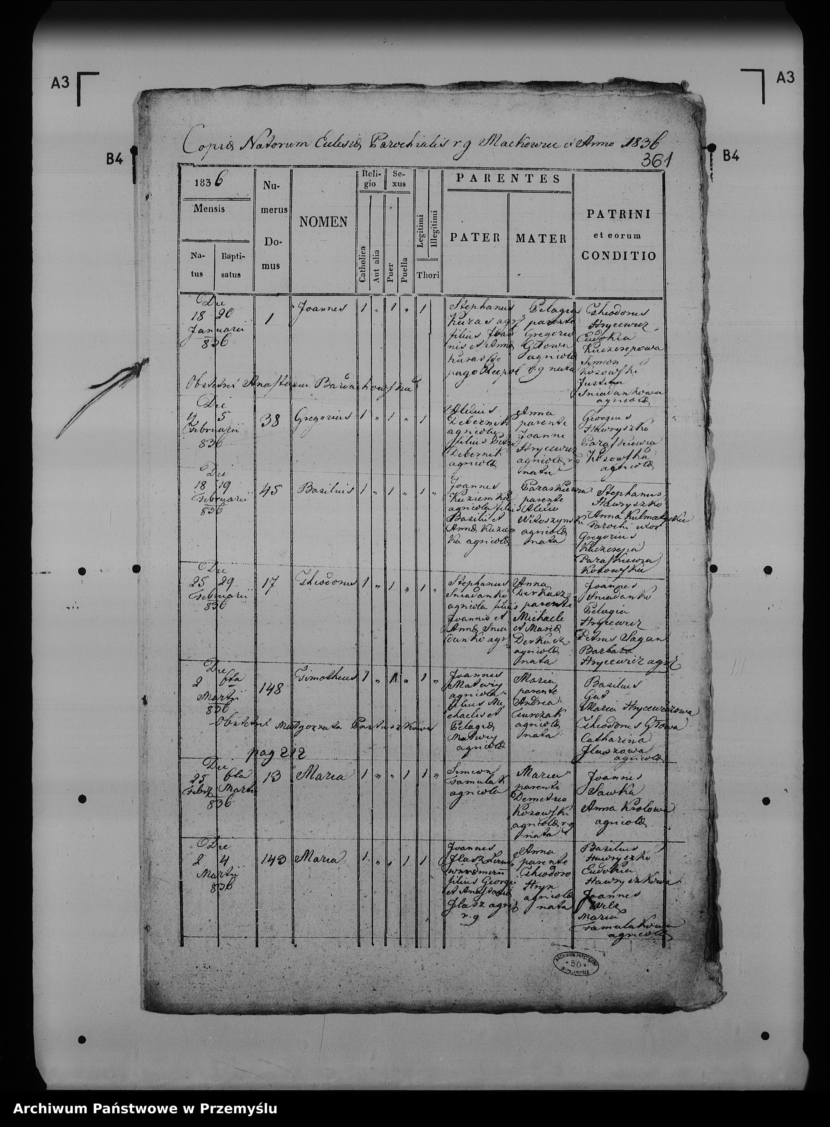 Skan z jednostki: [Kopie ksiąg metrykalnych parafii Maćkowice z filią Kosienice (dekanat Przemyśl)]