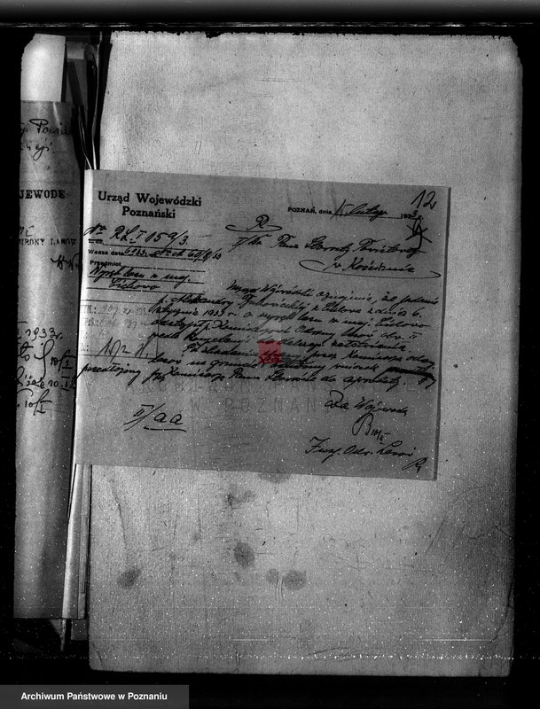 Obraz 17 z jednostki "Nadzór nad gospodarką w lasach majętności Cichowo powiat kościański"