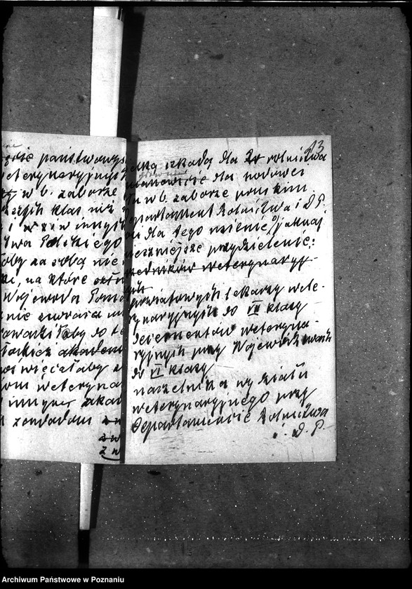 Obraz 17 z jednostki "Powiatowi lekarze weterynaryjni"