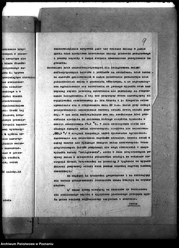 Obraz 13 z jednostki "Księgosusz - Kościerzyna"