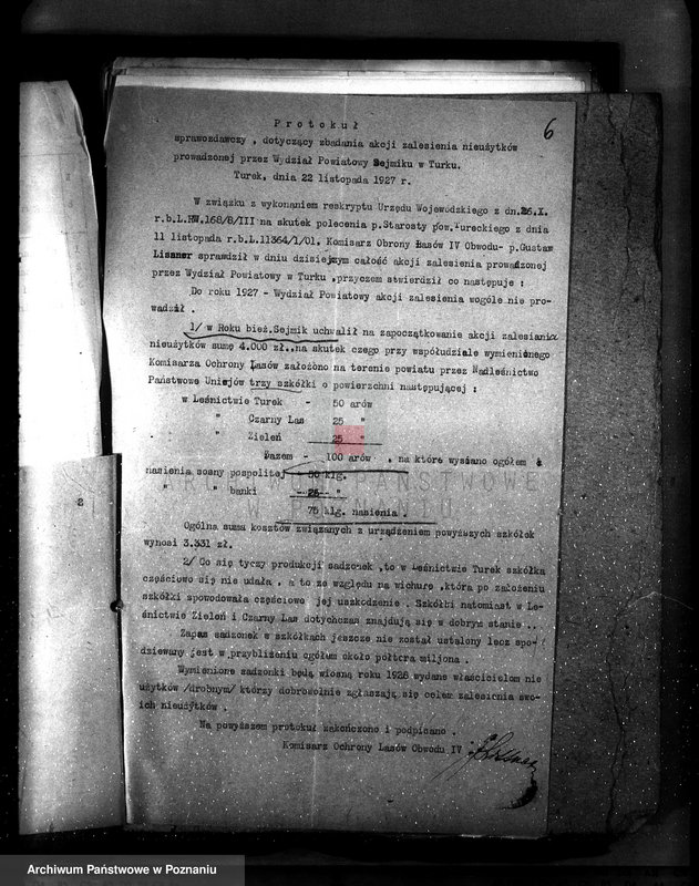 Obraz 10 z jednostki "Zalesienie nieużytków powiatu tureckiego"