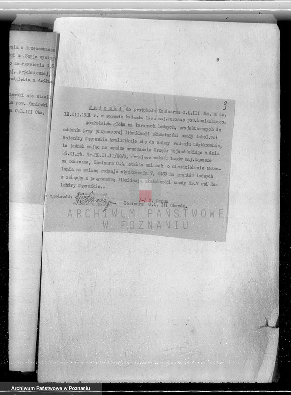 Obraz 14 z jednostki "Sprawa przymusowej likwidacji służebności osady nr 7 Holendry Wąsowskie w lasach majątku Wąsosze /powiat koniński/ oraz nieprawnego wyrębu"