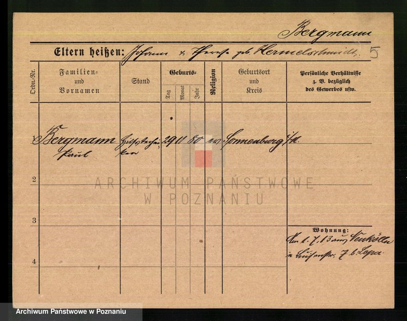 Obraz 7 z jednostki "Bergmann - Bernauer"