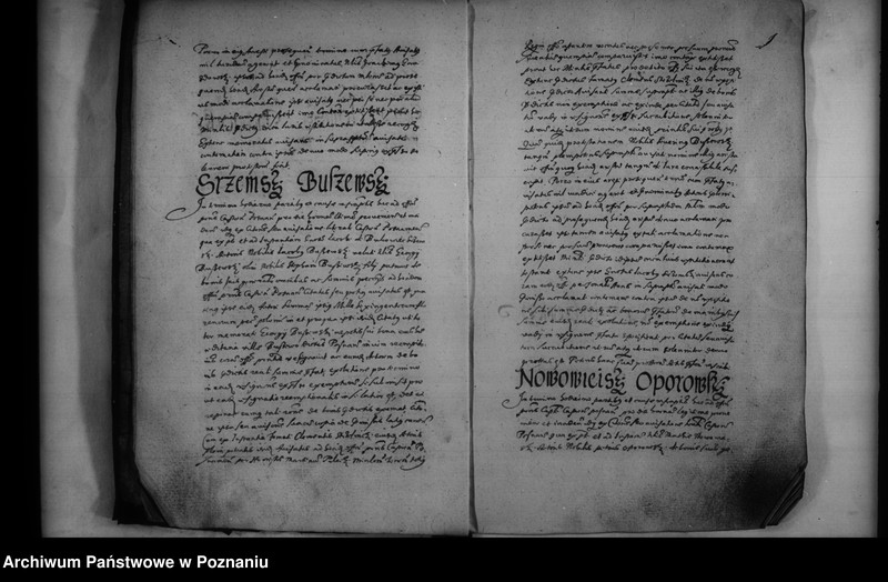 Obraz 10 z jednostki "Inscriptiones [inducta]"