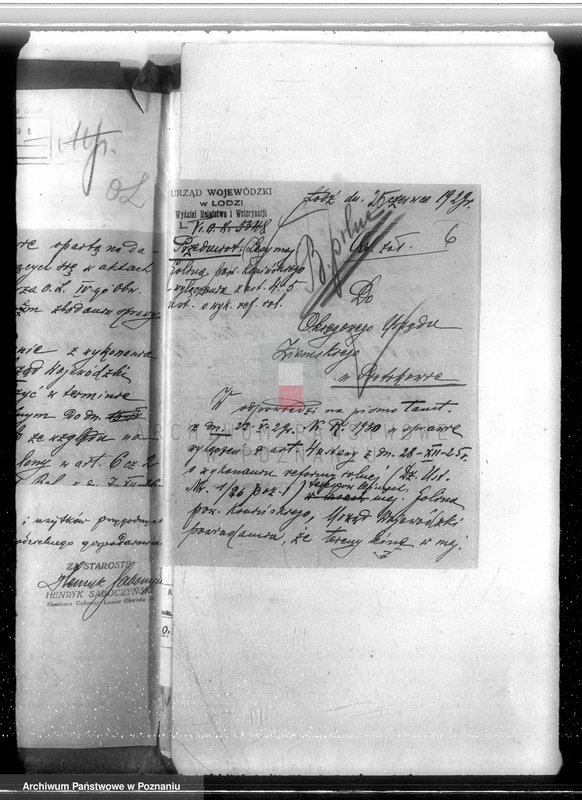 Obraz 10 z jednostki "Majątek Goliński powiat koniński /nadzór nad gospodarką leśna/"