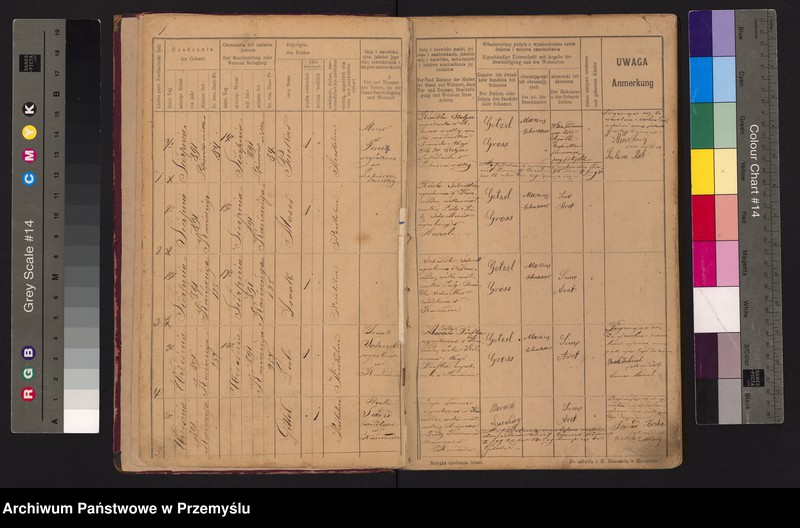 image.from.unit "Tom IV Księga urodzonych od 7/8 1891 do 25/7 1904"