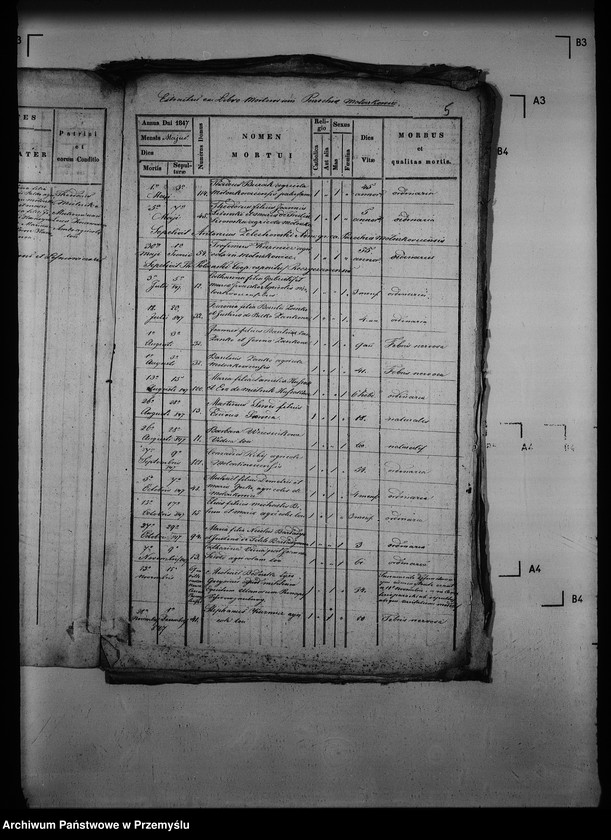 Obraz 10 z jednostki "[Kopie ksiąg metrykalnych parafii Mołoszkowice z filią Leśniowice (dekanat Jaworów)]"