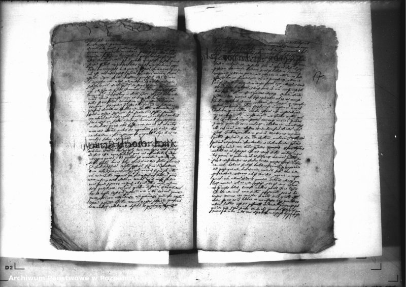 Obraz 19 z jednostki "Decreta iudicii [inducta]"