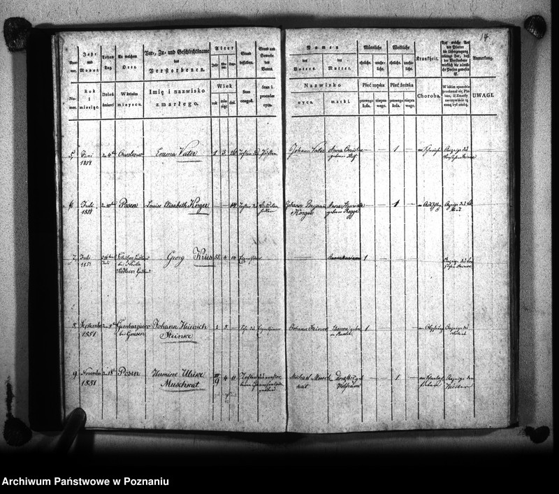 Obraz 18 z jednostki "Księga zejścia"