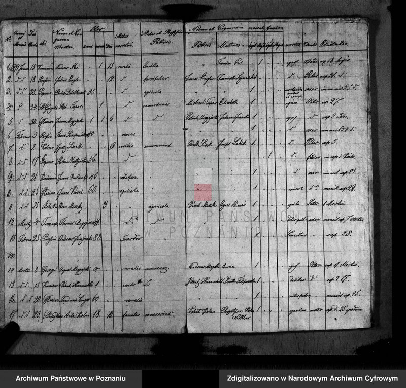 image.from.unit.number "Duplikat baptisatorum, copulatorum, mortuorum"