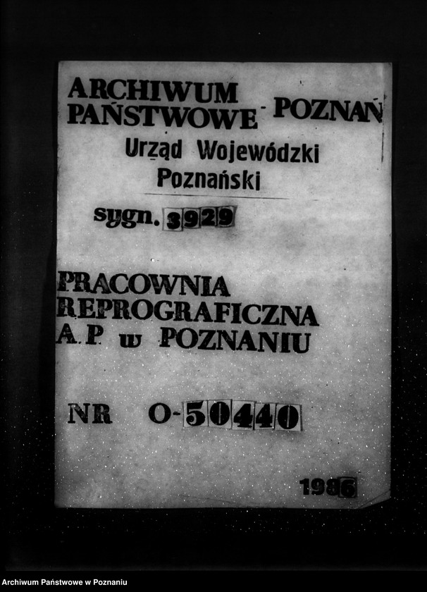 Obraz 1 z jednostki "Gospodarka leśna kościoła katolickiego Wieszki powiat szubiński"