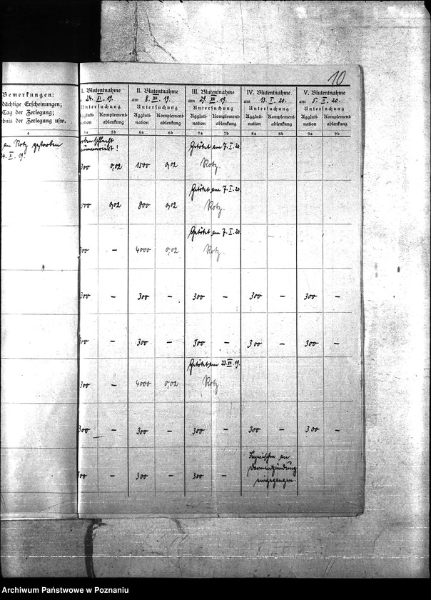 Obraz 14 z jednostki "Nosacizna - Międzychód"