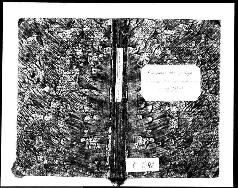 image.from.unit.number "Duplikat Akt Cywilnych z Parafii Jednowierców Karolin za rok 1848"