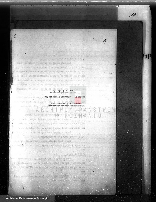 image.from.unit.number "Plan urządzenia gospodarstwa leśnego Baborówko-Baborowo powiat szamotulsko-obornicki 1929-1939"