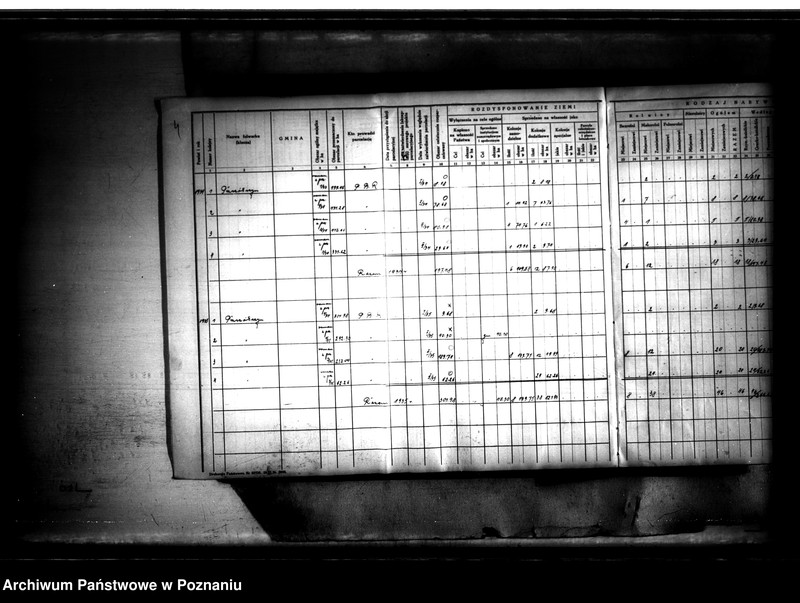 Obraz 9 z jednostki "Księga sprawozdawczo-statystyczna powiatu szubińskiego dla parcelacji Państwowego Banku Rolnego"