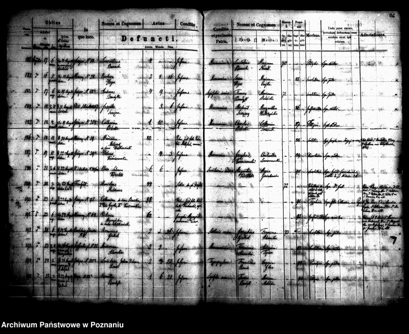 Obraz 15 z jednostki "Księga zgonów"