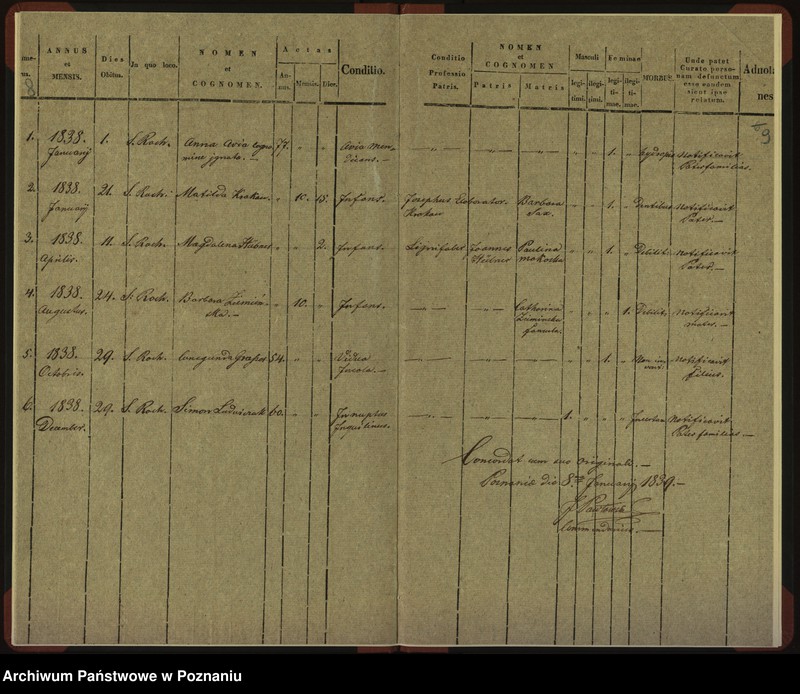 Obraz 8 z jednostki "Duplicat baptisatorum, copulatorum, mortuorum"