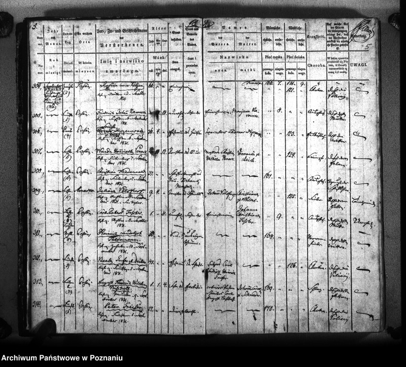 Obraz 8 z jednostki "Sterbenbuch"