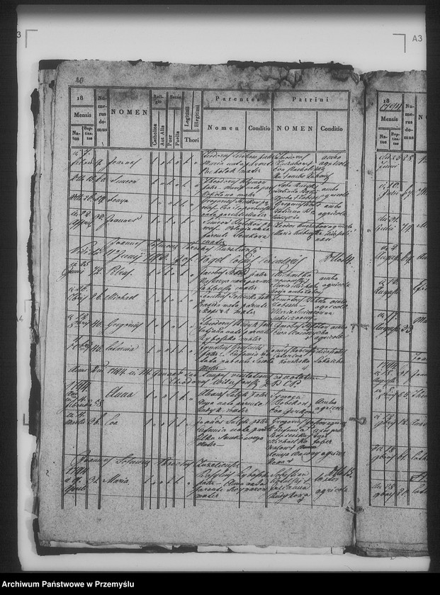 Obraz 15 z jednostki "[Kopie ksiąg metrykalnych parafii Żabcze Murowane z filią Bezejów (dekanat Bełz)]"