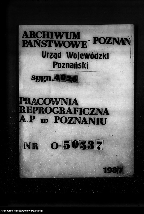 Obraz 13 z jednostki "Zalesienie nieużytków w powiecie żnińskim"