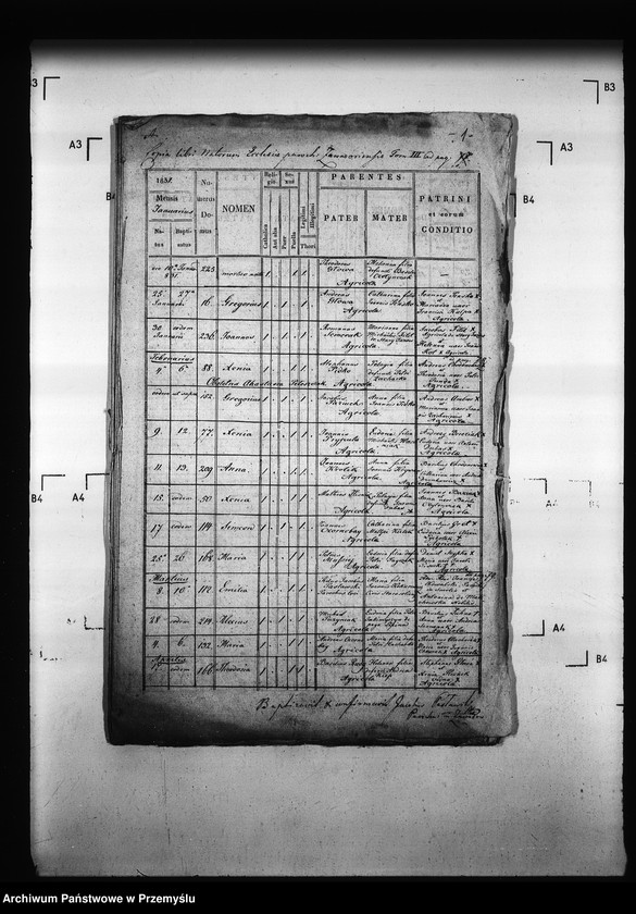 Obraz 5 z jednostki "[Kopie ksiąg metrykalnych parafii Zawadów (dekanat Niemirów)]"