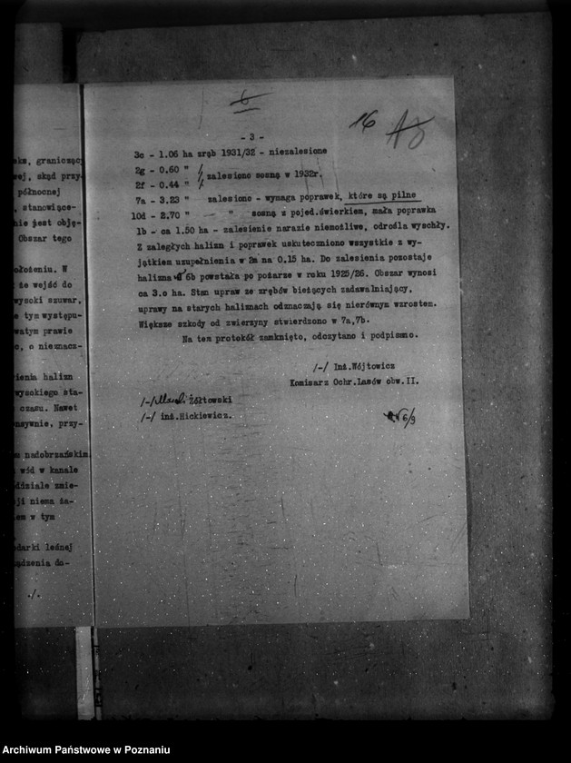 Obraz 20 z jednostki "Majętność leśna Zadory powiat kościański"