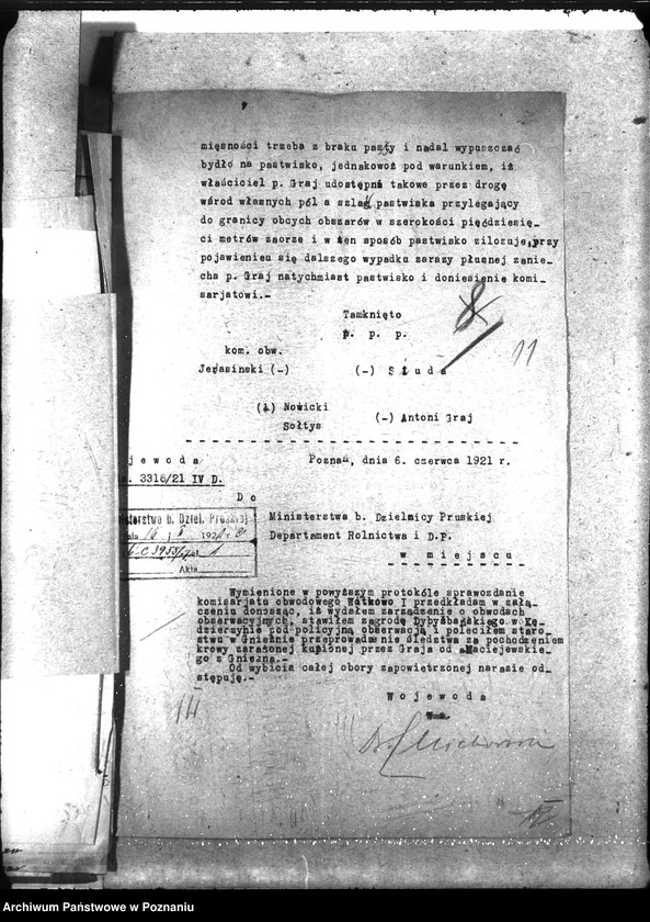 Obraz 16 z jednostki "Zaraza płucna - Witkowo"