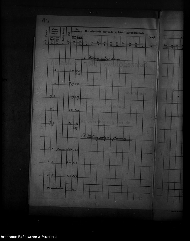 Obraz 19 z jednostki "Plan urządzenia gospodarstwa leśnego dla lasu majętności Sobota powiat poznański 1936-1946"