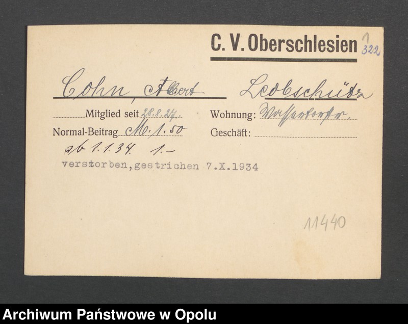 Obraz 3 z jednostki "[Cohn Albert, Leobschütz]"