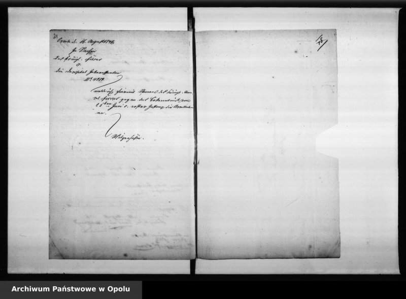 Obraz 19 z jednostki "Acta der Gemeinde zu Wilhelmsthal [Bolko] betreffend Gemeinde Angelegenheiten Vol. IV"