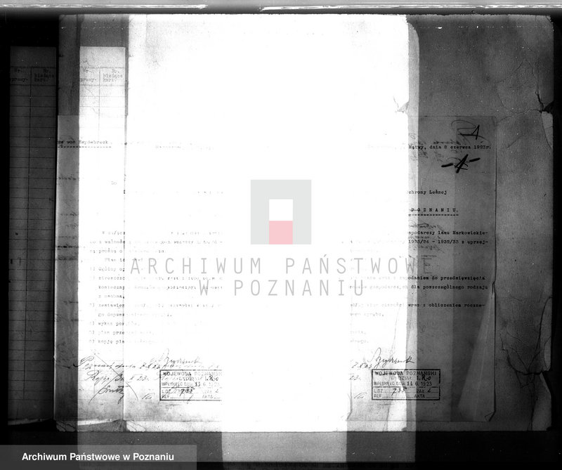 Obraz 5 z jednostki "Nadzór nad gospodarką w lasach majętności Markowice powiat mogileński"