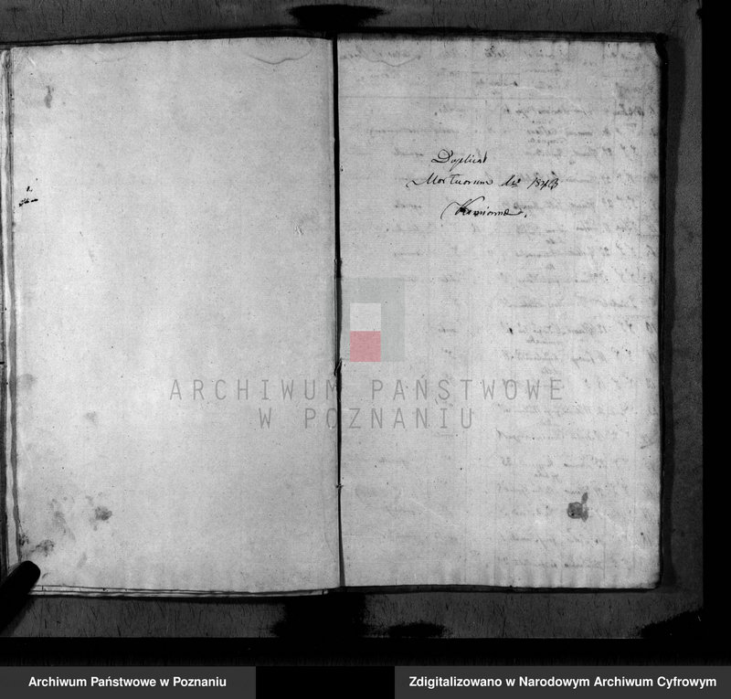 image.from.unit.number "Duplikat baptisatorum, copulatorum, mortuorum"