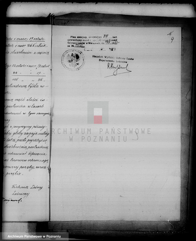 Obraz 14 z jednostki "/Las miasta Kalisza nadzór nad gospodarką/"