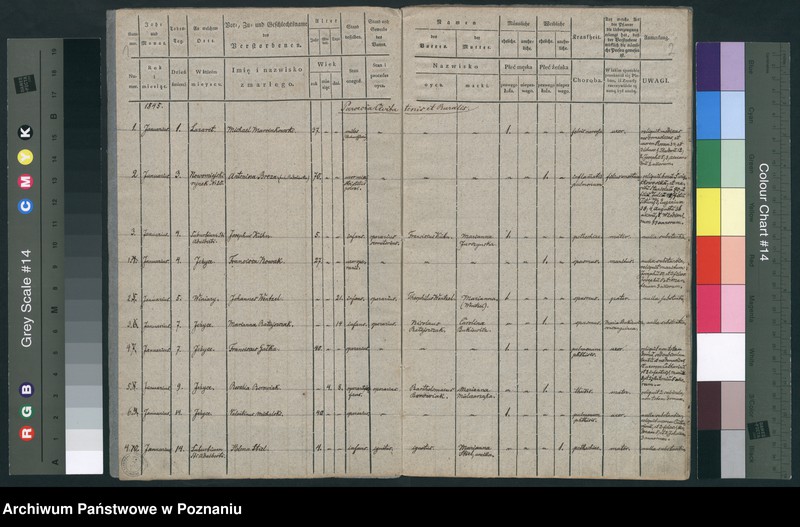 Obraz 3 z jednostki "Księga zgonów"