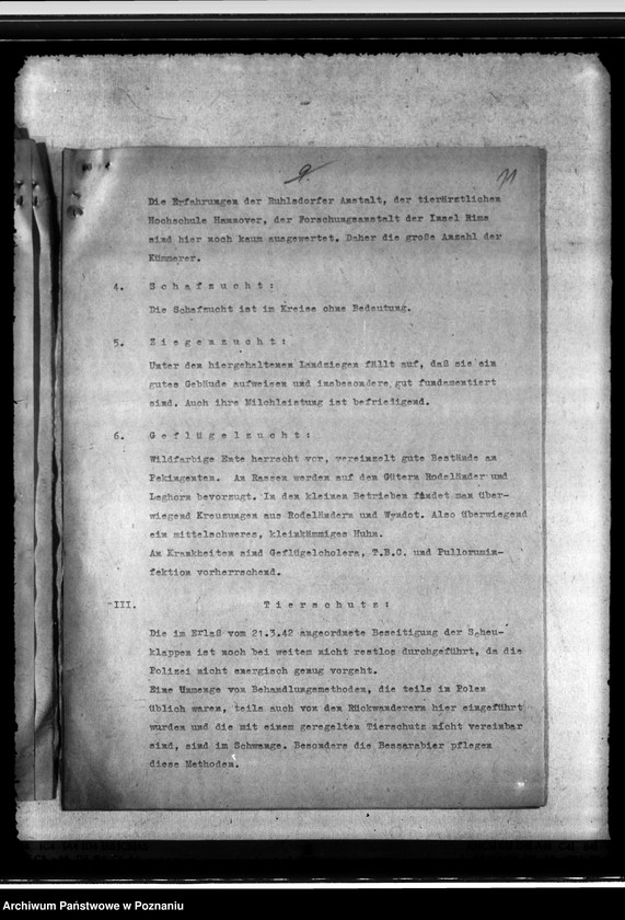 Obraz 15 z jednostki "Jahresveterinärbericht der Regierungs- Veterinärratstelle des Kreises Hermannsbad"