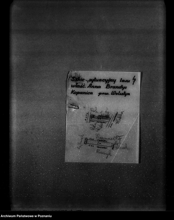 Obraz 8 z jednostki "/Program gospodarstw leśnych znajdujących się na terenie powiatu wolsztyńskiego/"