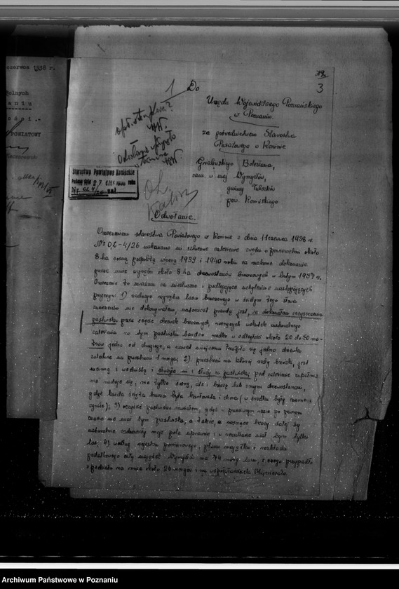 Obraz 7 z jednostki "Gmina Wymysłów powiat koniński /nadzór nad gospodarką leśną/"