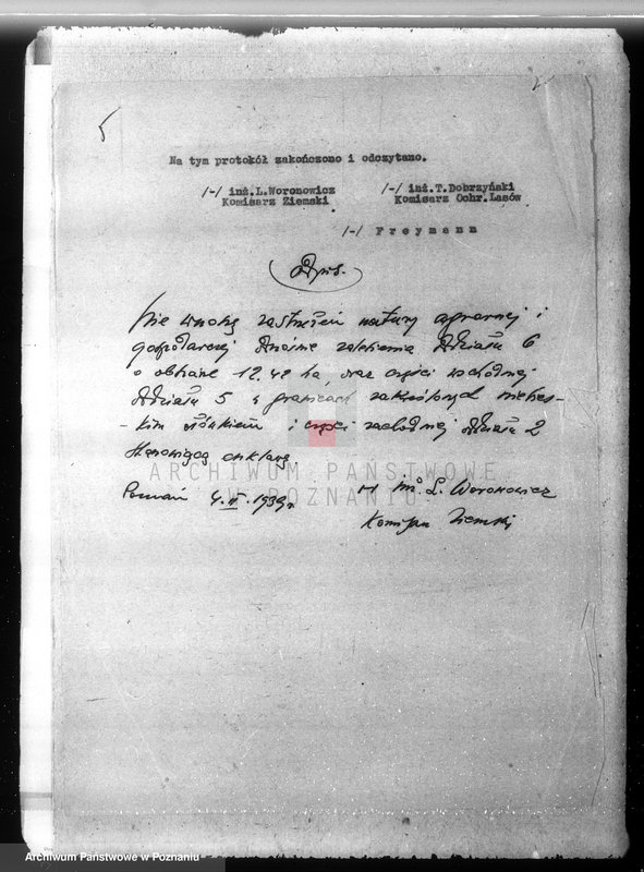 Obraz 10 z jednostki "/Majętność leśna Wąsowo w powiecie nowotomyskim/"