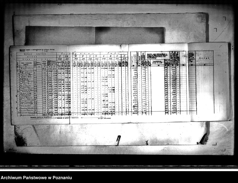 Obraz 9 z jednostki "/Zestawienie oszacowania działek parcelowanego majątku Kopojno"